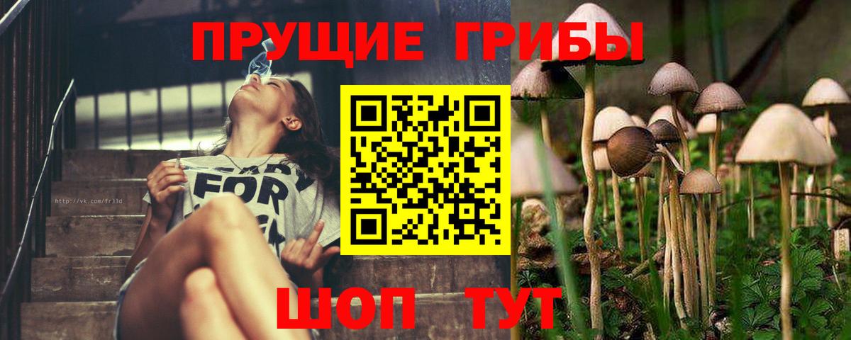 Псилоцибиновые грибы прущие грибы  Вход с VPN  Лянтор 