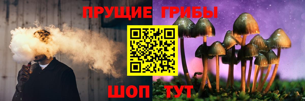 Галлюциногенные грибы Cubensis Лянтор